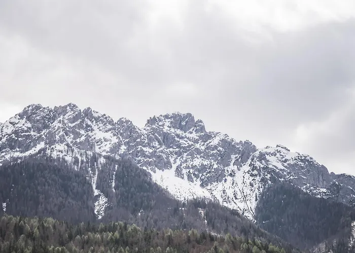 Wachtler Dolomite Apartments